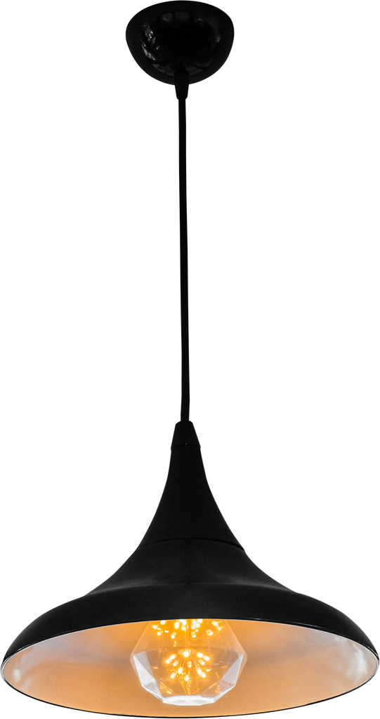 Black hanging lamp isolated.